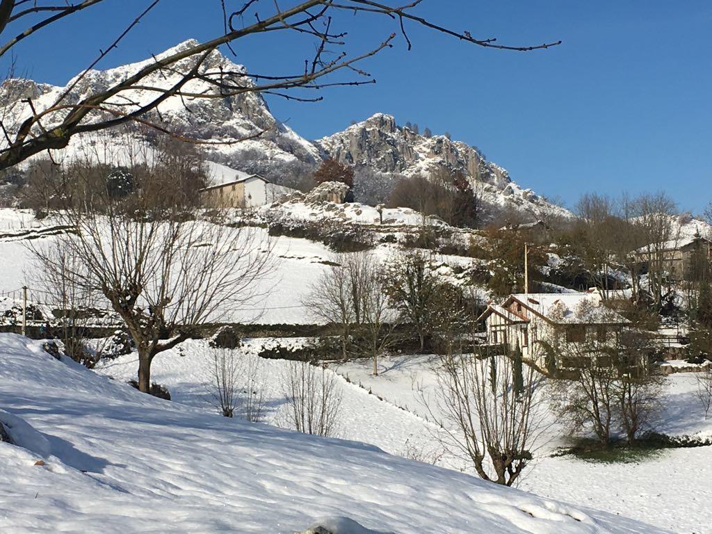 Гостевой дом Casa Rural Balerdi Аскарате Экстерьер фото